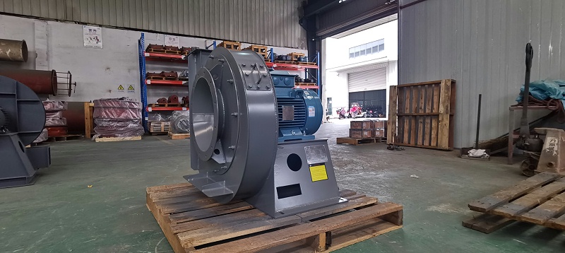 IMG_20201028_083557 IMG_20201028_083557