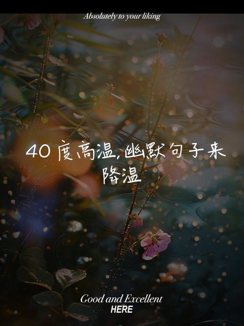 澳门香港 第15页