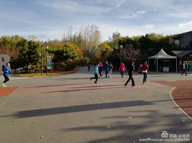 澳门研究生资料网站大全,和美公园枪击7人受伤与美公园枪击7人受伤了吗