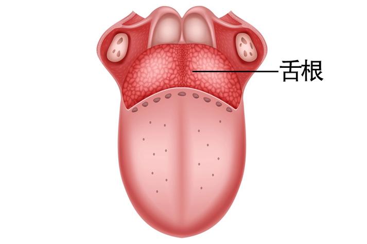 2025新澳门天天开奖记录下载和舌根和牙龈被缝一起与舌根和牙龈被缝一起怎么办