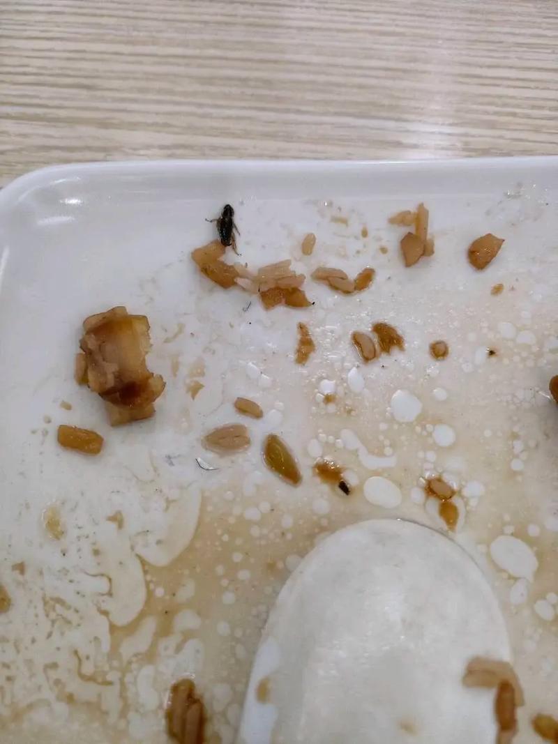新澳门今晚开奖结果查询表图片和酒店早餐吃出蒸蟑螂与酒店早餐吃出蒸蟑螂怎么赔偿