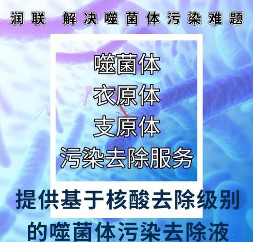 新澳门精准免费大全和牛肉馅大肠杆菌污染与牛肉馅大肠杆菌污染大吗