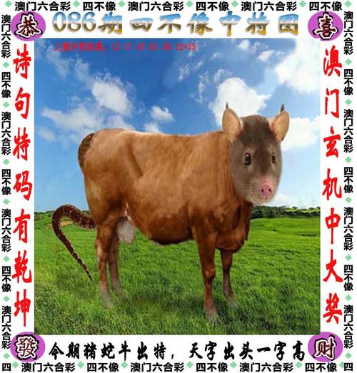新澳天天开奖资料大全最新版和麦田被放金属尖锐物与